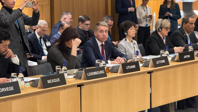 Labklājības ministrs Uldis Augulis OECD sanāksmē