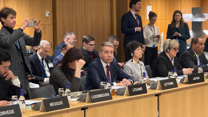 Labklājības ministrs Uldis Augulis OECD sanāksmē